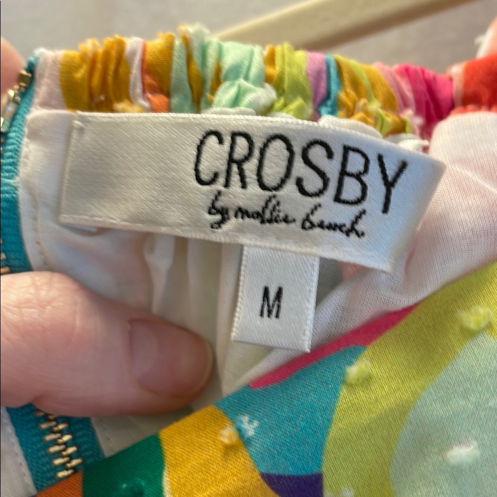 NWOT CROSBY by Mollie Burch Yellow Pink Fitted Ruffled Blouse - Picture 2 of 14